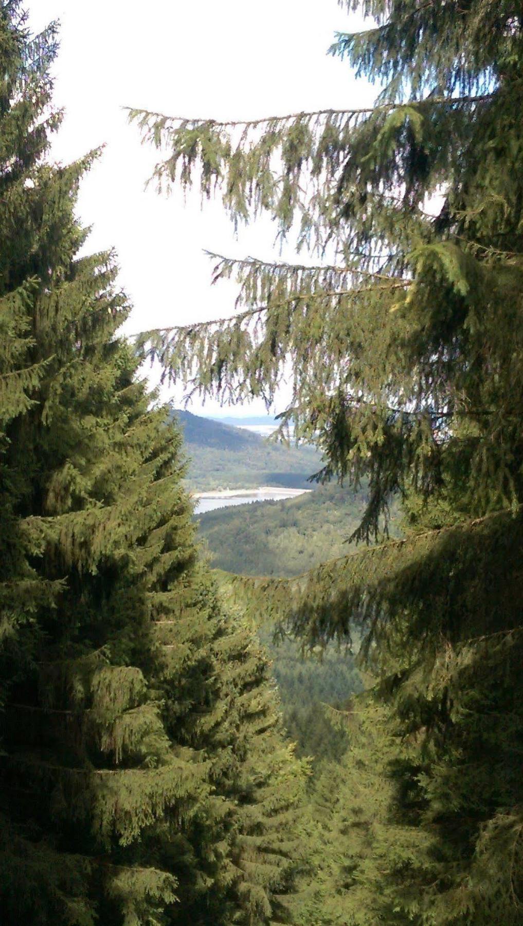 Lautenthal Hotel Berghof Am See מראה חיצוני תמונה